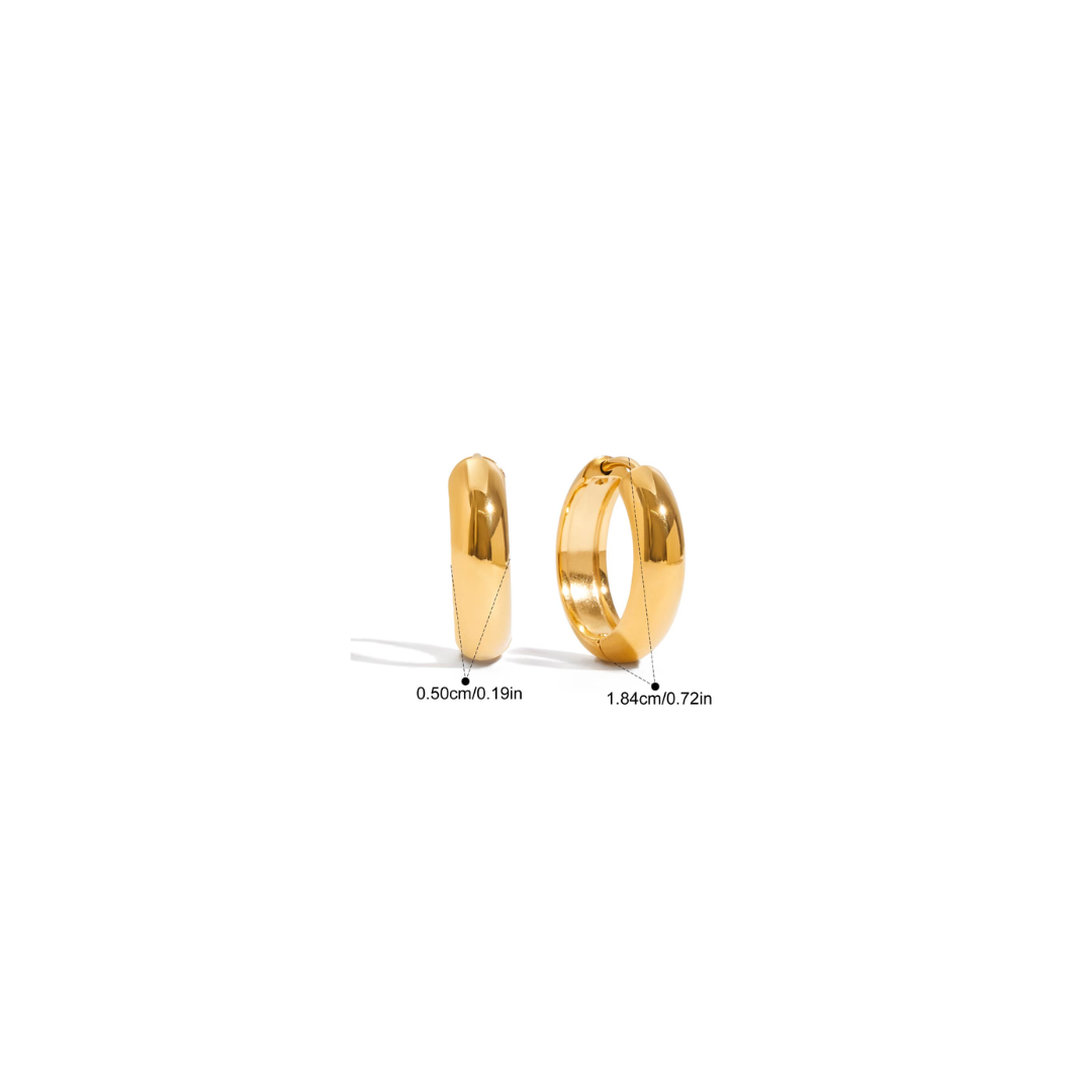 Hoops Earrings