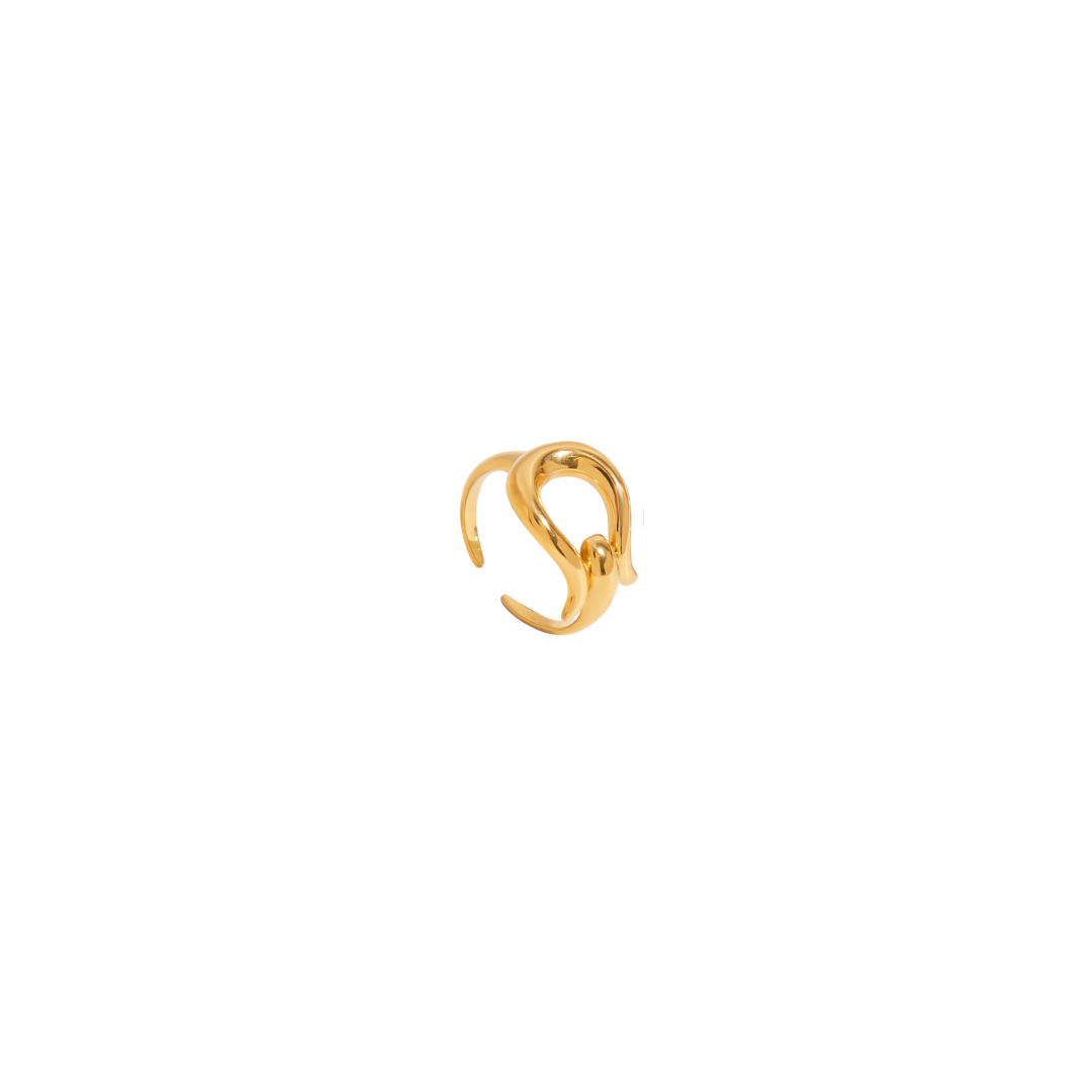 New Buckle Ring