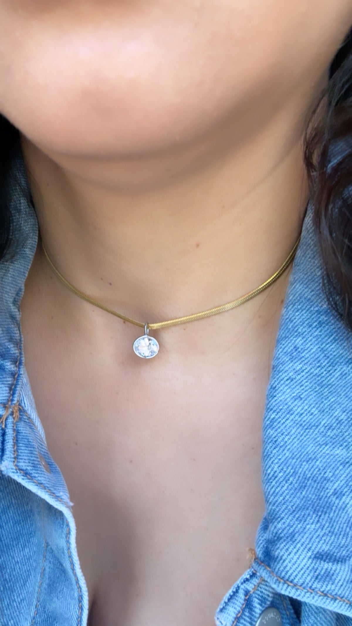 Two Tone Snake Oval Zirconia Pendant Necklace