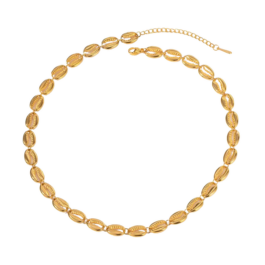 Scallop Shell Chain Necklace