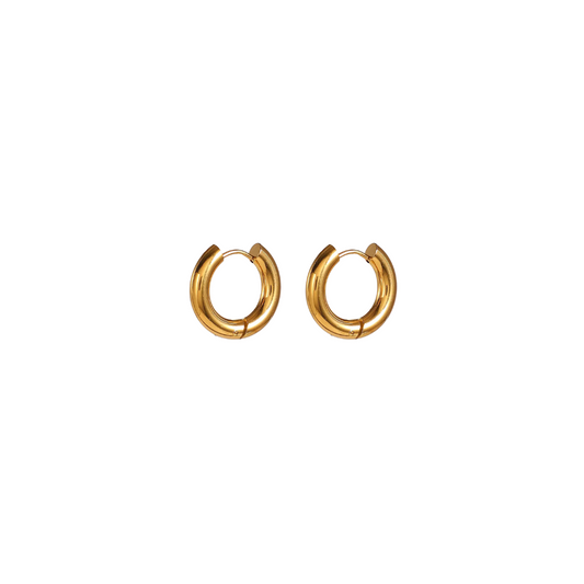 Classic Small Hoop Earrings