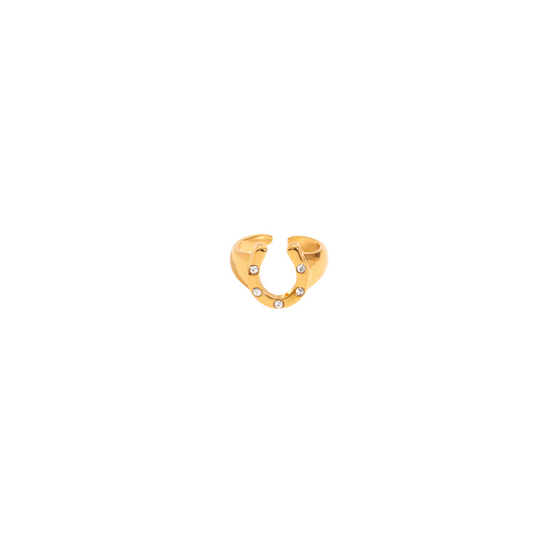 Zirconias Small Horseshoe Ring