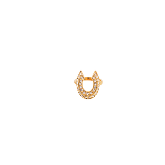 Zirconias Big Horseshoe Ring