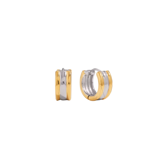 Two Tone Small Hoop Earrings