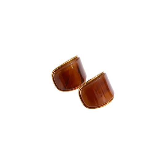 Brown Resin Stud Earrings