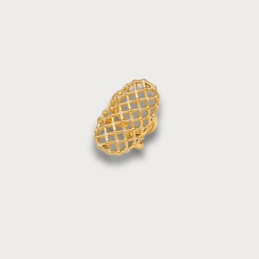 Zirconias Mesh Ring