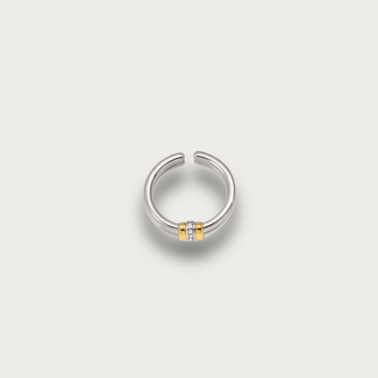 Two Tone Dainty Zirconias Ring