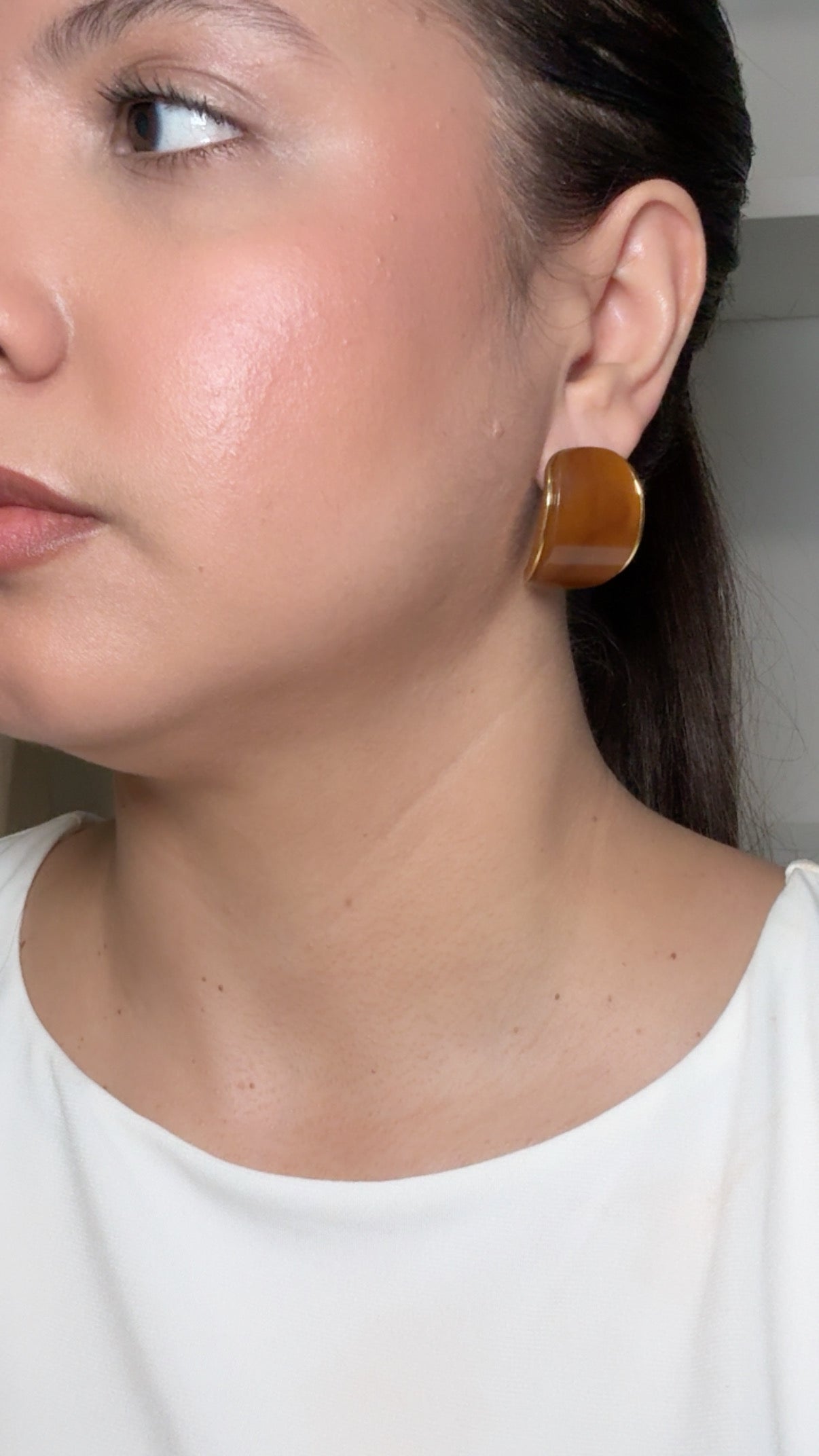 Brown Resin Stud Earrings