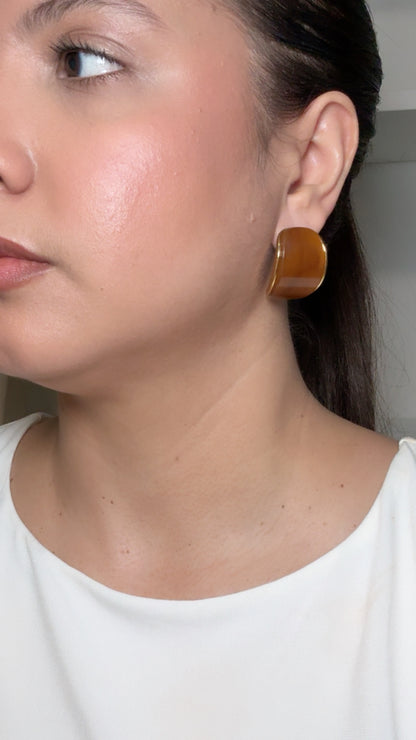 Brown Resin Stud Earrings