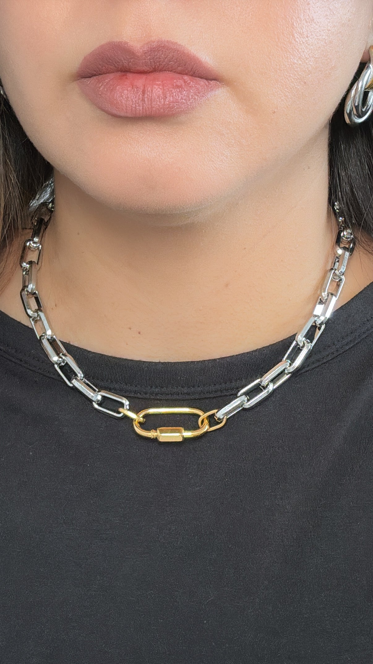 Two Tone Carabiner Chain Necklace