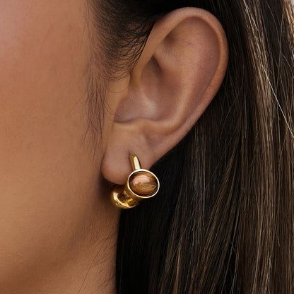 Brown Oval Irregular Hoop Earrings