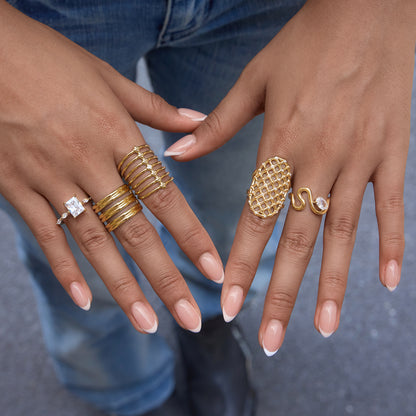 Zirconias Mesh Ring