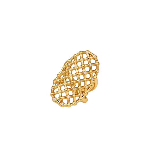 Zirconias Mesh Ring